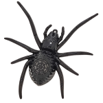 მანათობელი ობობა