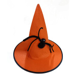 ჯადოქრის ქუდი ობობით