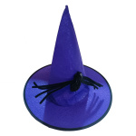 ჯადოქრის ქუდი ობობით