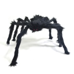 ბუსუსებიანი ობობა