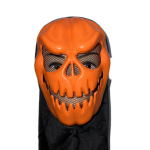 ნიღაბი გოგრა - Image 2